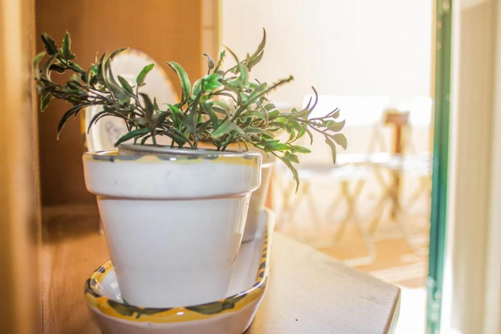 Homestay Blife Olaya Private Olhao